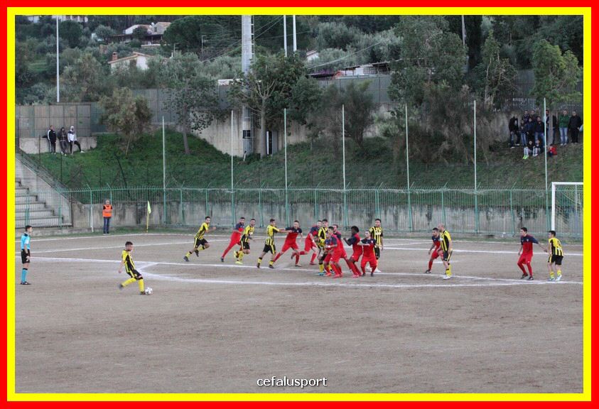 181111 Cepha_Milazzo 282_tn.JPG